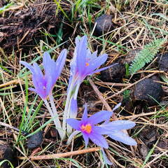 22-09-10 17-56-08 1971